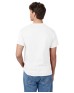 Hanes 5250T   Men's Authentic-T T-Shirt