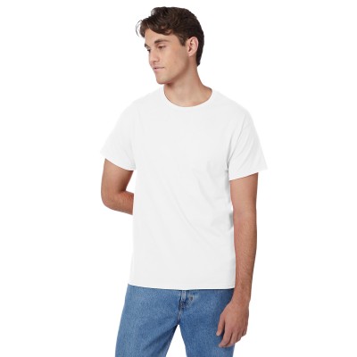 Hanes 5250T   Men's Authentic-T T-Shirt