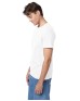 Hanes 5250T   Men's Authentic-T T-Shirt